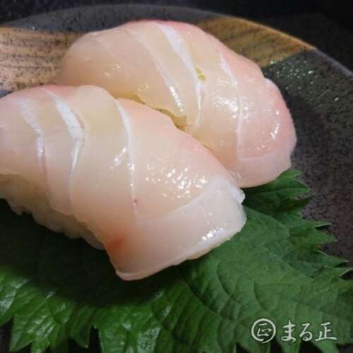 70cmの鯛を頂いたのでお寿司に 素人料亭まる正