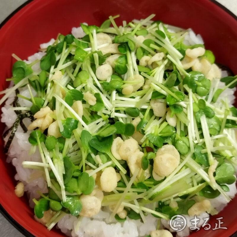 ご飯の上にかいわれ大根と天かすをのせる